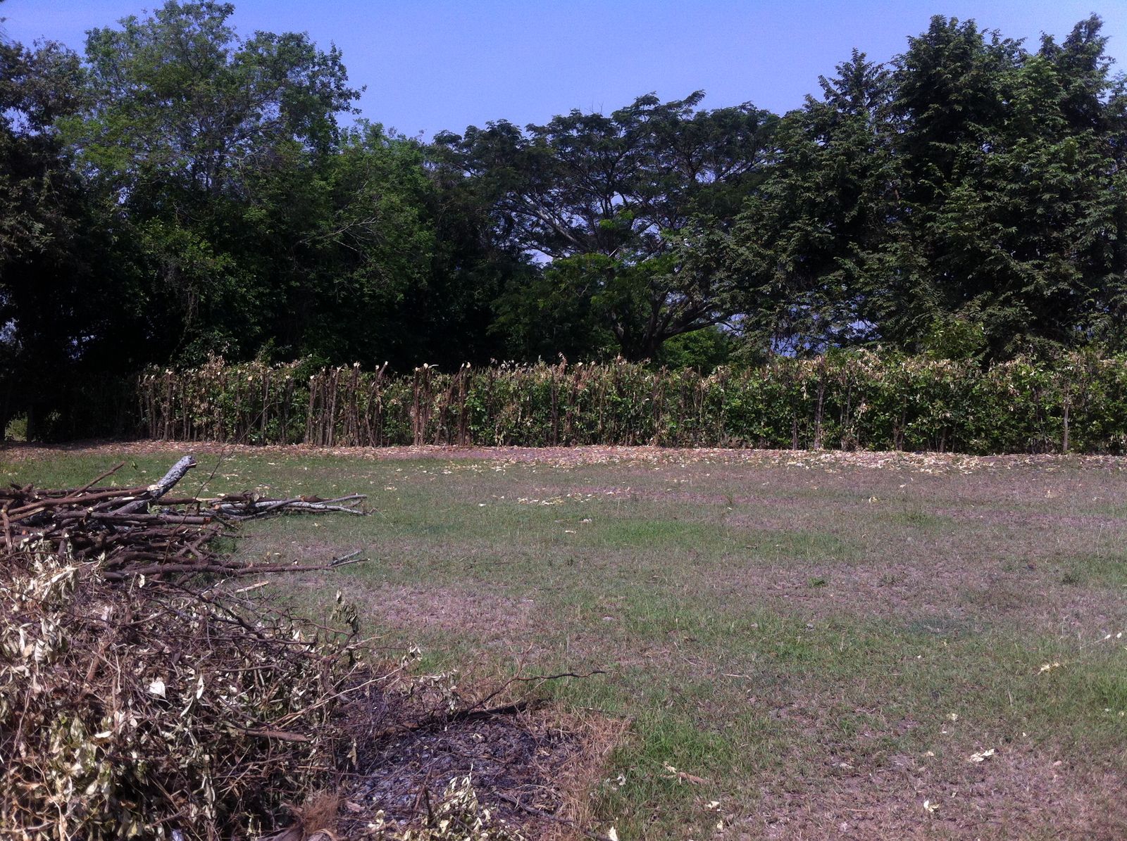 Imagen de Land en Sale en Ricaurte, Cundinamarca